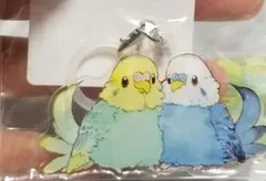 ゆとり屋 セキセイインコ アクリルマーカー くじ