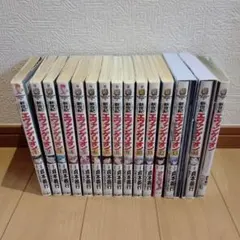 マーガレットコミックス オルフェウスの窓 全18巻 池田理代子 - メルカリ