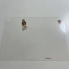 TWICE What is Love？ チェヨン クリアポストカード