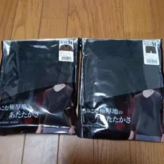 メンズ　極厚起毛インナー　V首シャツ　ロングタイツ　Mサイズ