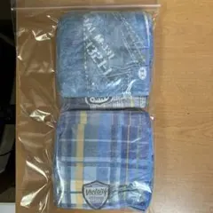 Item thumbnail for item da79ea06-7672-4aba-9270-ca7b1cb8de2b