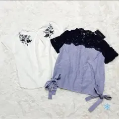 【未使用】DRESKIP 刺繍 ZARA レース ストライプ ブラウス トップス