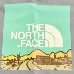 【美品】THE NORTH FACE 半袖Tシャツ Ｌノースフェイス
