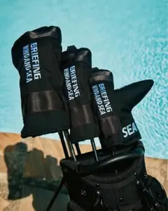 2025年最新】ブリーフィング ヘッドカバー ウィンダンシーの人気