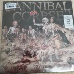 CANNIBAL CORPSE GORE OBSESSED 180g