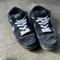 Nike SB Dunk Low Pro 
