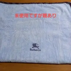 2026年最新】西川産業 バーバリー タオルケットの人気アイテム - メルカリ