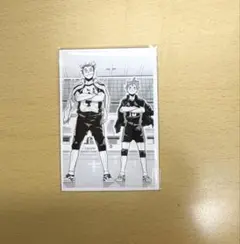 ア*ル様 ハイキュー フォトカード 木兎光太郎 日向翔陽