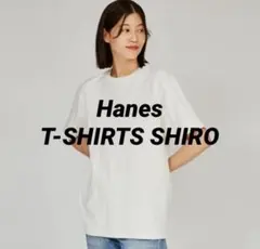 美品☆【Hanes】T-SHIRTS SHIRO