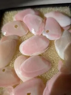 桜貝 素材 2-3cm ケース入り