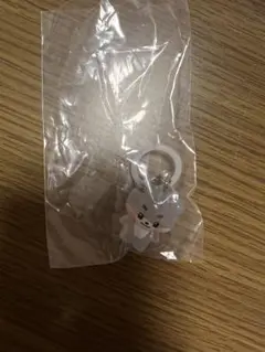 ZEROBASEONE ゼベワン zeroni めじるしアクセサリー ゴニニ