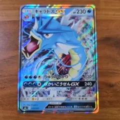 ポケモンカード ギャラドスGX 015/051のサムネイル