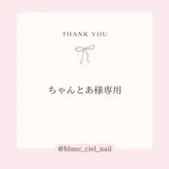 ちゃんとあ様専用ページ　ネイルパーツ
