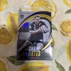 ラグビー　リーグワン　ウエハース　カード　シェーンゲイツ