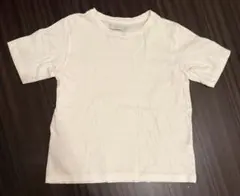 argue Tシャツ