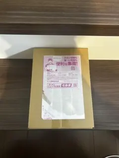 ポケモンカードゲーム テラスタルフェスex 未開封Boxシュリンク付 ポケセン産