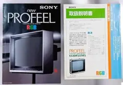 2026年最新】SONYトリニトロンの人気アイテム - メルカリ