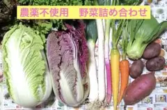 野菜セット　野菜詰め合わせ　80サイズ a