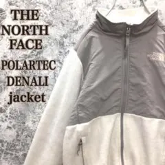 N100 【人気】US規格ノースフェイスモックネックポーラテックデナリジャケット