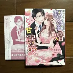 wako様 リクエスト 2点 まとめ商品