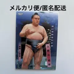 Item thumbnail for item 48f1b29c-4380-4515-833c-8d871e471a7a