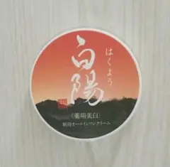 2025年最新】白陽 オールインワンの人気アイテム - メルカリ