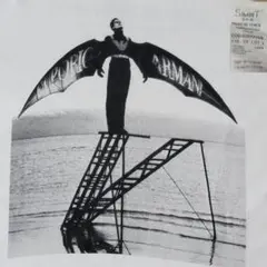 フォト Tシャツ