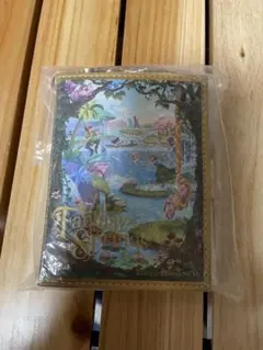 Disney Fantasy Springs パスケース