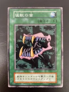 遊戯王 猛獣の歯 魔法カード - メルカリ