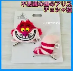 2025年最新】チェシャ猫ヘアピンの人気アイテム - メルカリ