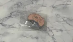 ストレイキッズ 2023 シーグリ S318 ピンバッジ