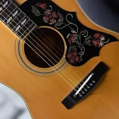 2026年最新】YAMAHA FG 180 赤ラベルの人気アイテム - メルカリ