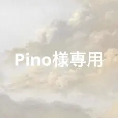 Pino様専用