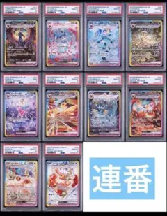 ブラッキー　ex sar ex psa10 psa9 10連番　テラスタルフェス