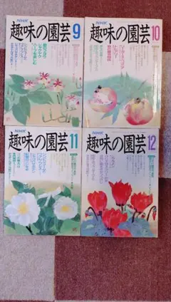 Item thumbnail for item eb0c5409-a702-45de-a062-2dcee5e891b0