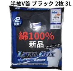 半袖Ｔシャツ 3L 黒　2枚セット　メンズアンダーウェア　V首　コットン100%
