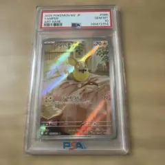 2026年最新】psa10 わんぱちの人気アイテム - メルカリ