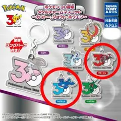 ぽ*ん様 ポケモン 30周年メタルチャーム めじるしアクセサリー 5個