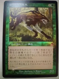 2026年最新】野生の雑種犬 foilの人気アイテム - メルカリ