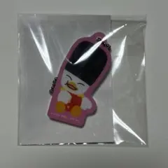 RIIZE 東京ドーム公演 ソヒ トルビョン マグネットアクリルチャーム R