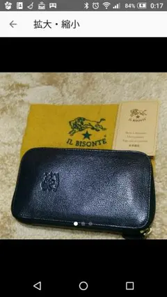 IL BISONTE