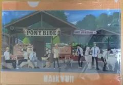 ハイキュー！！　東武動物公園コラボ　クリアファイル