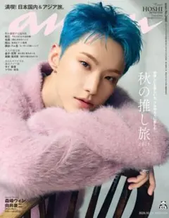 SEVENTEEN knight 雑誌 ttt チェキトレカ ホシ SEVENTEEN knight 雑誌 ttt チェキトレカ ホシ