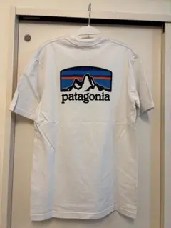 Patagonia パタゴニア Tシャツ