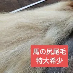 Item thumbnail for item efa58dec-90d0-4499-9cf4-0c1d6a774282