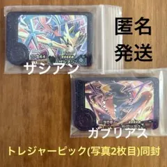 ザシアン ／ ガブリアス