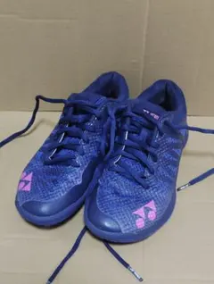 Item thumbnail for item 57a46f82-fcf9-47e8-beca-f7aba3b79801