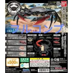 いきもの大図鑑 かに01 フルコンプ