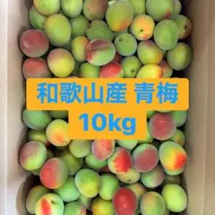 miu☆様専用 白加賀梅 10kg - メルカリ