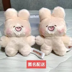 SHUYA CREAMPUFF BUNNY マスコットぬいぐるみ TOYA 新品